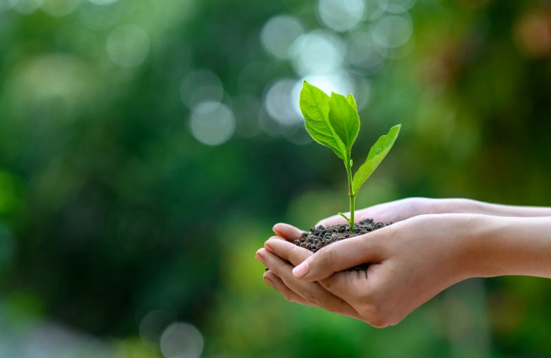 Nachhaltige Webpräsenz: Intuitiv und blitzschnell – Time4Digital