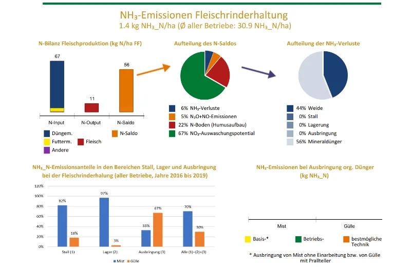 Gestaltung und Entwicklung von Dashboards und Reporting-Tools – Time4Digital